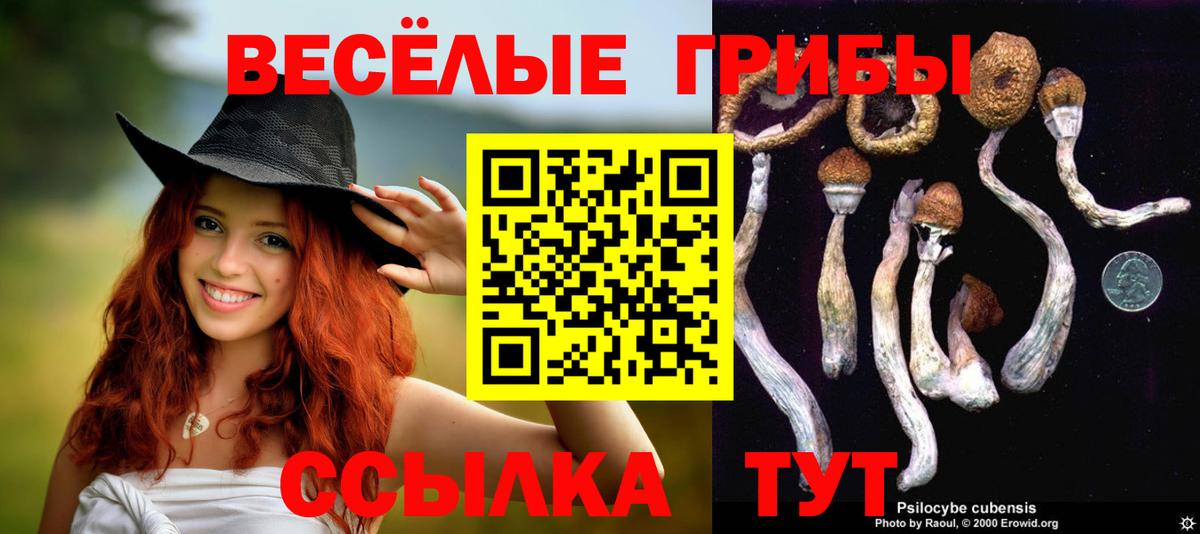 Галлюциногенные грибы Cubensis  Галлюциногенные грибы ЛСД  Асино  Вход с VPN 